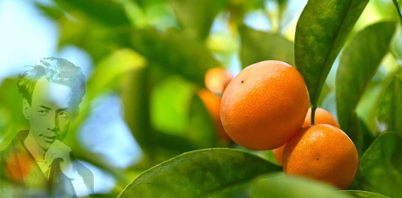 文学からお陰様を学ぶ(2)